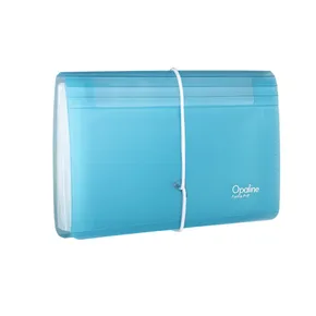 Dokumenten-Organizer mit Gummi DL Opaline klar-blau 13 Fächer